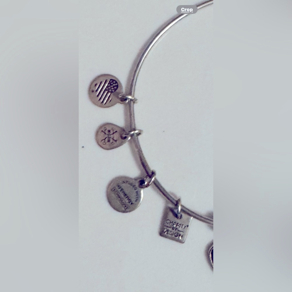 Alex and Ani Charm Bangle Bracelet with Paw Print - Picture 7 of 10